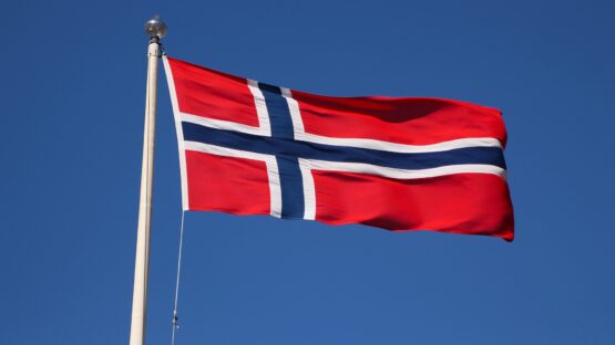 Find svenske flag og norsk flag i høj kvalitet hos Langkilde & Søn