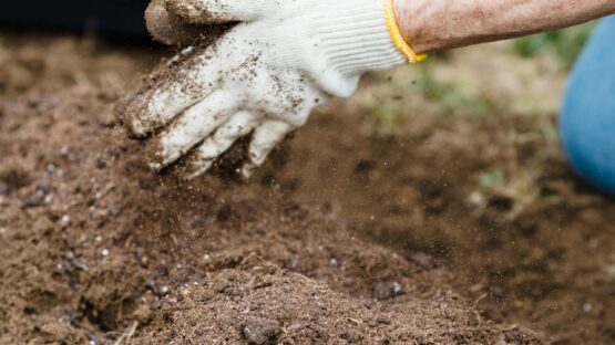 Harpet muldjord fra Grusogaffald.dk til alt fra have og anlægsopgaver