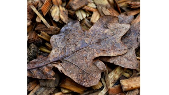 Træflis i bigbag når du vil gøre havearbejdet mere overskueligt